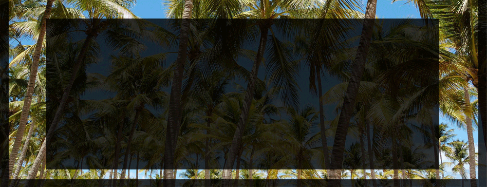 Primewalk - Enito Green Label kokos palmetræ - bæredygtigt miljø